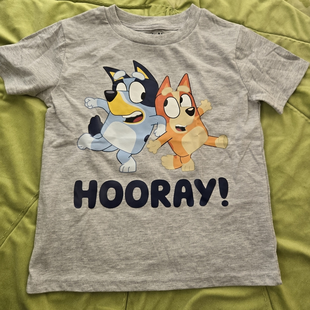 Bluey Gray Kids Shirt